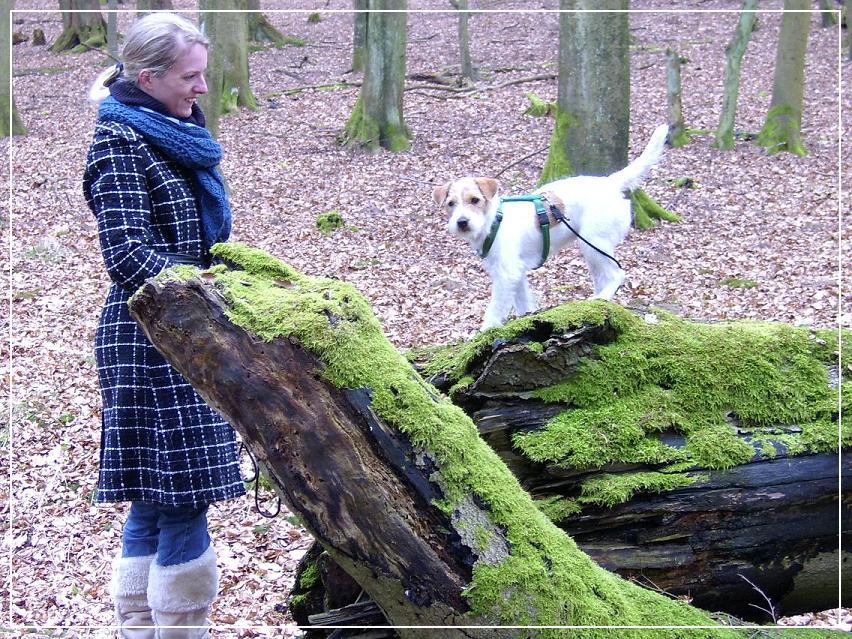 Lilly auf dem Baum